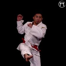 JUDO VÍC NEŽ BACIL